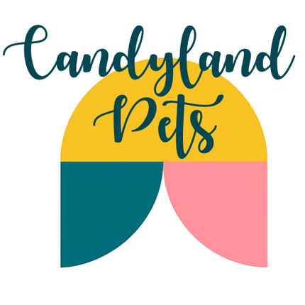 Collection image for: Pet Accessories Designed By Candyland Pets